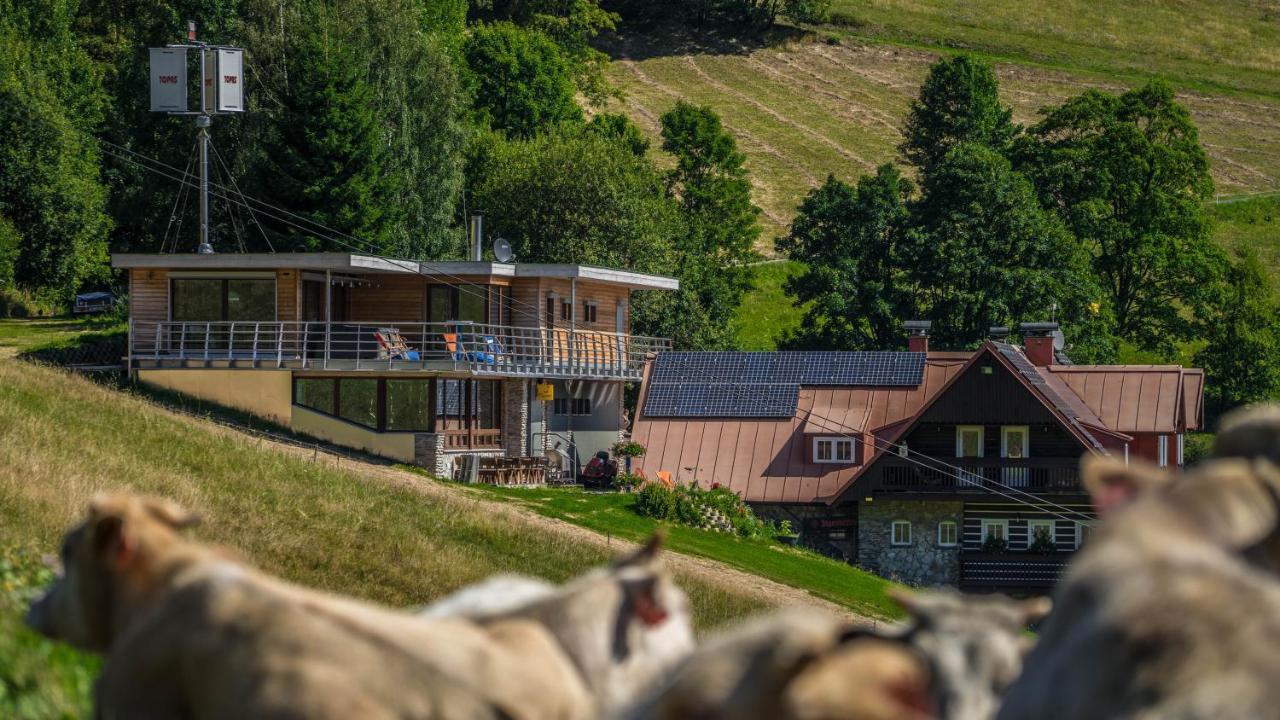 Penzion Topas Pec pod Snezkou Exterior foto